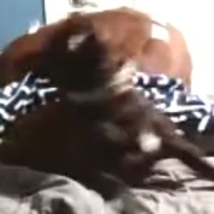 Meet your Posher, Gavin